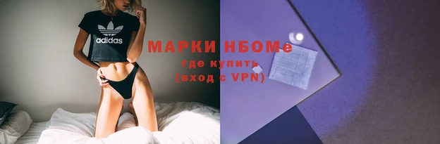 молекула духа Елизово