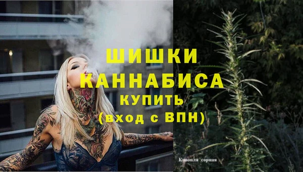Альфа ПВП Заволжье