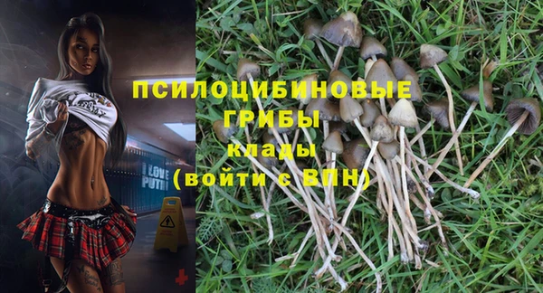 индика Заводоуковск