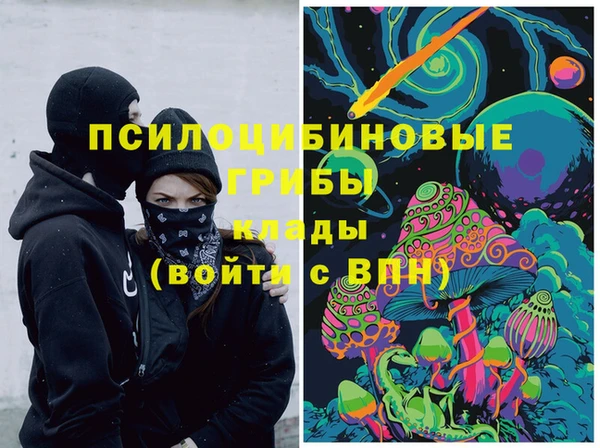 индика Заводоуковск