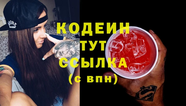 индика Заводоуковск