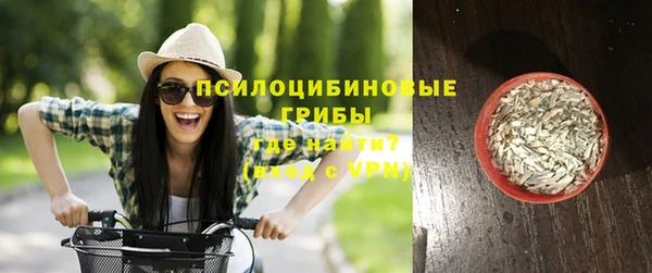 дурь Елабуга